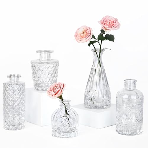 Glass Bud Vase Set of 5, Small Clear Flower Vases for Centerpieces in Bulk, Mini Vintage Vase for Wedding Decor, Single Flowers, and Home Table Décor