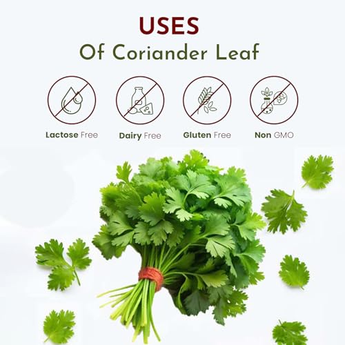 Organic Way Coriander Leaves (Cilantro Leaves) cut and sifted | Non GMO - Packed In Resealable Bag | Sustainable - All Natural - Not Irradiated | Origin India (4 oz - 1/4 lbs) - Image 3