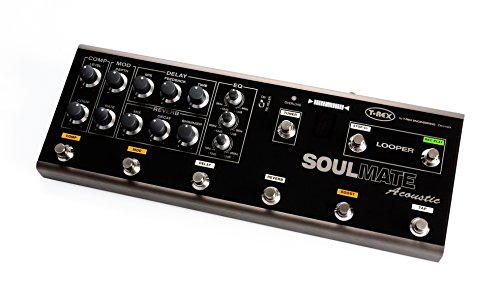 T-Rex Engineering Soulmate | Sweetwater