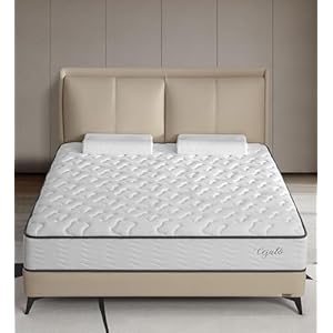 Queen Mattresses,12 Inch Queen Size...