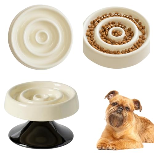 Lifetips xWAOtH xM[O Lp X[t[h{E ؐ Hh~ ~ HZbg ^ L  􂢂₷ i-̌^^CvAC{[j