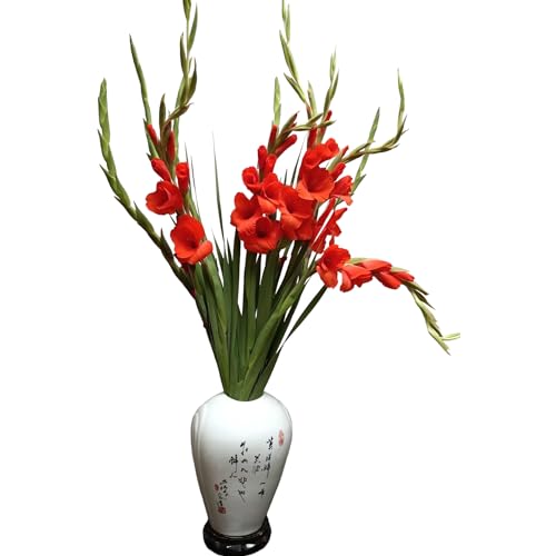 WANGBINYU 19 Stems Red Gladiolus Fresh Cut Flower Bouquet Bulk Flowers Wholesale Los Angeles Flower Market Birthdays Anniversaries Friendship and Love Gifts DIY Home Flower Arrangements - Thumbnail 5