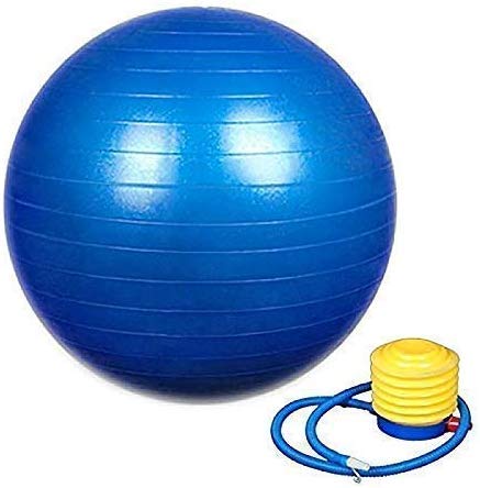 paryavaran ASGH Anti Burst Gym Ball 65 cm with Pump(Multicolor) PVC Anti Burst Fitness Ball Extra Workout Stability Balance Swiss Yoga Ball with Foot Pump (B07ZY8JPC5) Amazon Price History, Amazon Price Tracker