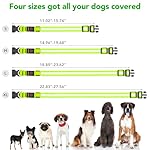 Vizpet LED Dog Collar, Light Up Dog Collar Adjustable USB Rechargeable Super Bright Safety Light Glowing Collars for Dogs(Medium,Green) - Image 5