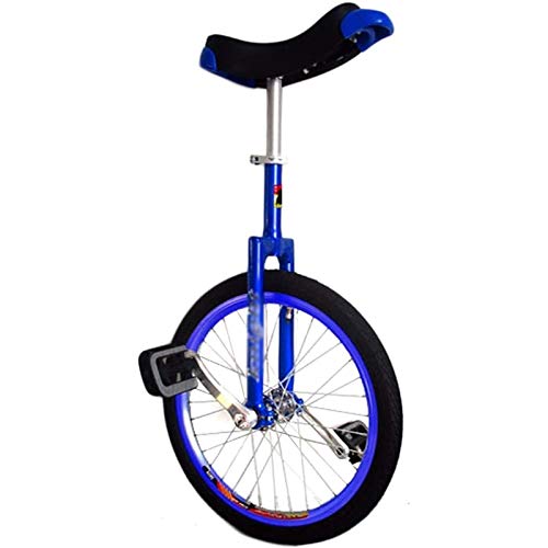 Top 10 Unicycle For Kids 12 Inches of 2023 Best Reviews Guide