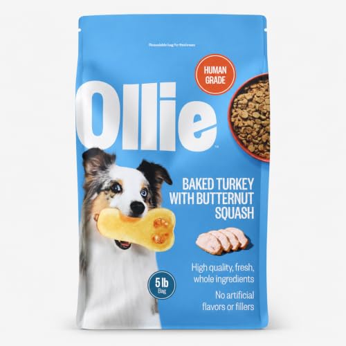 Ollie Baked Turkey Dish with Butternut Squash Dog Food 5 lbs - Natural