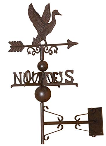 AUBRY GASPARD - Girouette Oie avec Frise en Fonte - Dimensions 44 x 33 x 64 cm - Poids 3 kg - Kit de Fixation Inclus - Design Moderne et Esthétique - Idéale pour Toit ou Pignon - Solide et