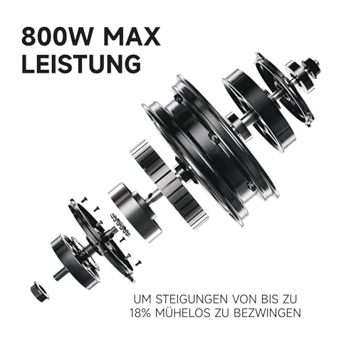 Segway-Ninebot E3 D E-Scooter f&uuml;r Pendler mit Stra&szlig;enzulassung, 45km Reichweite (37km bei 20km/h), 800W Motor, faltbar & leicht (17,5kg), Federung vorne & hinten, 10-Zoll Reifen, IPX5