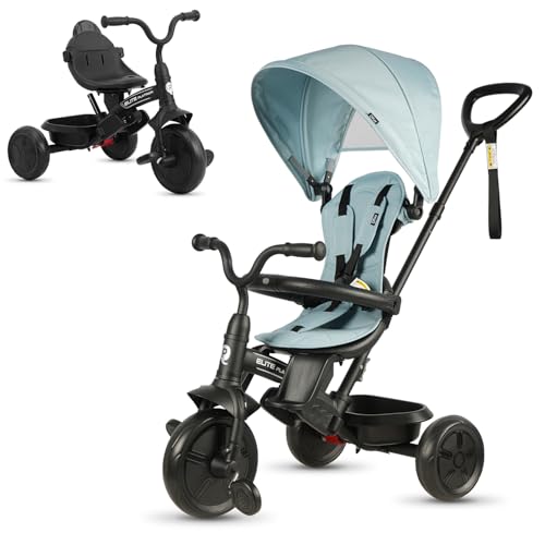 Qplay Elite Platinum 6 in 1 Baby Tricycle for 10 Months to 5 Years,Toddler Trike Balance Bike Prams Stroller with Adjustable Push Handle, Rotatable Seat, Safety Harness & Removable Canopy (Blue)