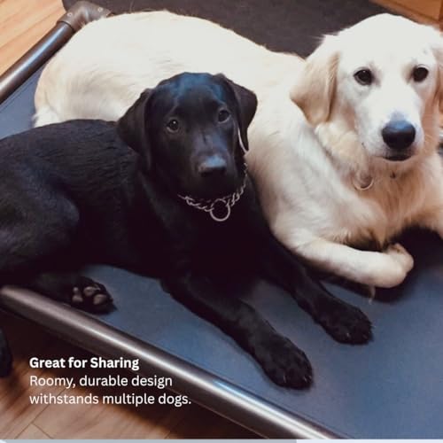 Kuranda Chewproof Elevated Dog Bed - Walnut PVC - 30\" x 20\" - Cordura Nylon - Forest Green