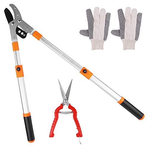 Becoyou Tijeras de Podar, 640-950mm Tijeras de Podar Telescopicas con Guantes y Tijeras para Las Ramas de Las Plantas Recortando la Cosecha de Frutas
