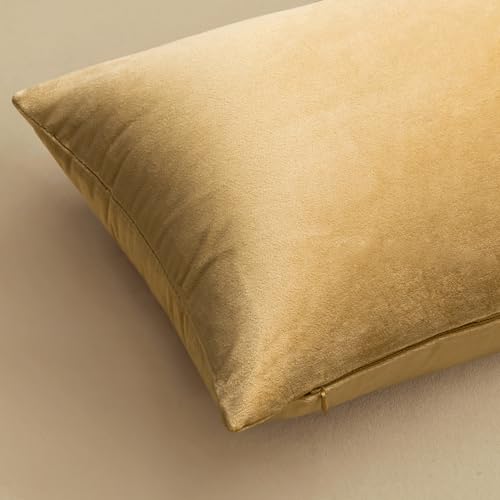 Image of MIULEE Velvet Throw Pillow Covers 20x20 Inch, Pack of 2 - Khaki, Soft Solid Decorative Pillow Covers Cushion Cases Modern Luxury Home Decor for Couch Sofa Bedroom Livingroom