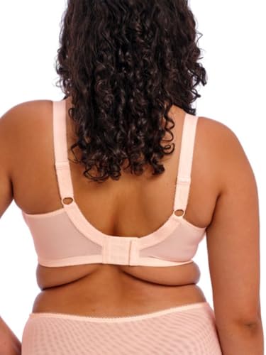 Elomi Womens Himari Underwire Embroidered Plunge Bra2