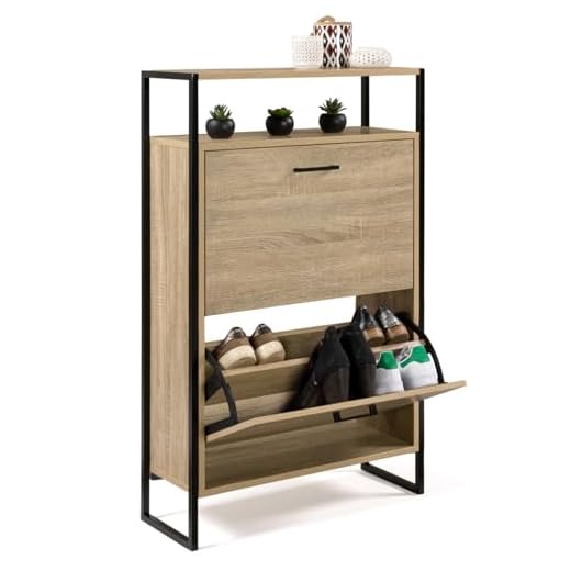 IDMarket - Zapatero LUIS 2 puertas con estante superior de diseño industrial