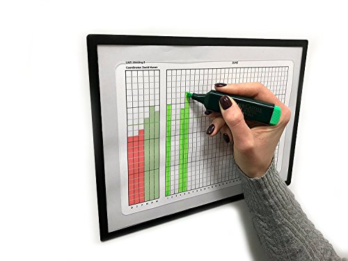 Custodia magnetica A4, con protezione. 5 unità