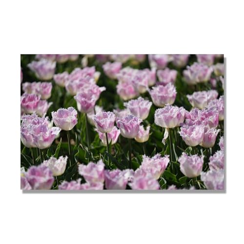 Belles photos de fleurs 124 imprimees sur toile pour un salon chaleureux plein de douceur
