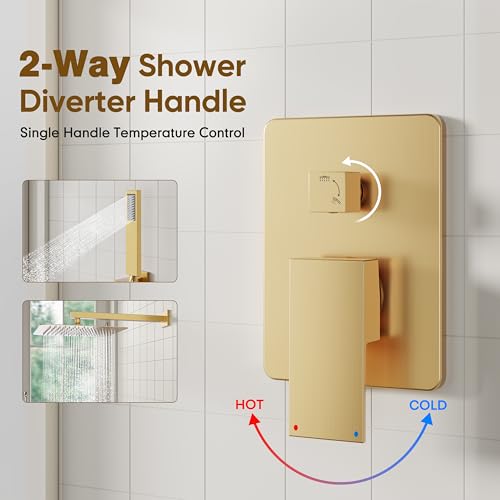 Image of ESNBIA Rain Shower Head with Handheld Spray Combo, 12 inch Brushed Gold