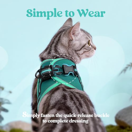 Image of rabbitgoo Cat Harness and Leash Set, Step-in Soft Vest, Turquoise & Green