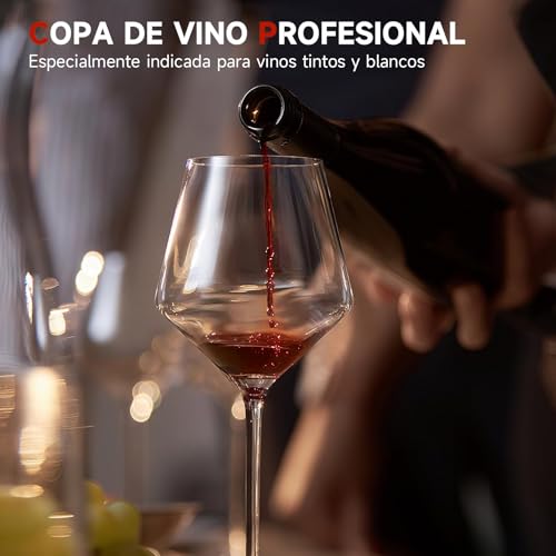 Listado de Copa sniffer - los preferidos. 6 copa sniffer marca Tucorresi (3)