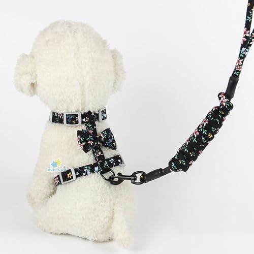 Lpn[lX yʃ[h  n[lX ^`^p xg^  ̌^ U[h SS \ y ʋC aĂ pȒP ̎UɍœK 7FWJ (ubN, M)