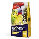 Expert