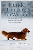 Hundetraining im Winter - Denkspiele, Hundeerziehung, Impulskontrolle und Frustrationstoleranz: Reisen mit Hund, Training gegen Silvesterangst, Bindung und Beziehung stärken, - Daniela Dührkop 