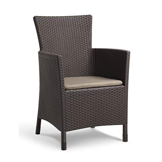 Keter Iowa Sillón de exterior e interior con cojín incluido, Marrón