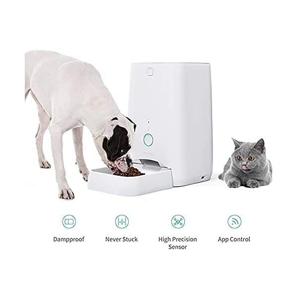 DOGNESS 6L Smart Feed Automatic Cat Feeder, Wi-Fi Enabled Pet Feeder for Cat and Small Dog, Smartphone App for iOS and Android, Portion Control, Fresh Lock System Auto Food Dispenser (White) DOGNESS 6L Smart Feed Automatic Cat Feeder, Wi-Fi Enabled Pet Feeder for Cat and Small Dog, Smartphone App for iOS and Android, Portion Control, Fresh Lock System Auto Food Dispenser (White)