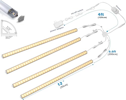 Rostro, Music Imagen adicional
