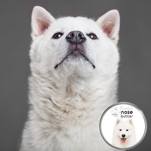 Image of The Blissful Dog Samoyed Nose Butter for Dry, Cracked Skin, Lick-Safe Dog Nose Balm with Moisturizing Shea Butter, Almond, Olive, and Essential Oils, Pet Supplies, Uncented, 2 oz.
