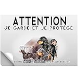 Stick Attention au chien chien setter gordon