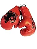 Flag Mini Small Boxing Gloves to Hang Over Car Automobile Mirror – Europe (1-Pack, Country: Albania)