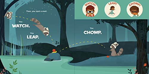 You Are a Raccoon! (Meet Your World) - Image 5