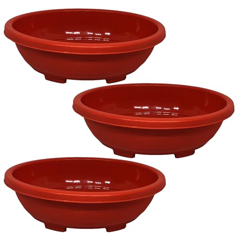 SHOPMEFAST Plastic Imperial Oval Bonsai Planter Tray, Plastic Flower Pots, Terracotta Color (Size :12 inches) (3)