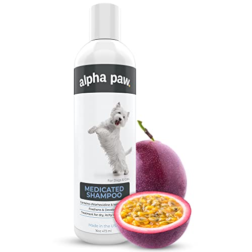 Infection Best Dog Shampoos For Yeast Infections