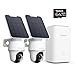 Reolink 4K PT Solar Überwachungskamera Aussen Set Outdoor Akku mit Home Hub, 360° Schwenkbare, Farbnachtsicht, Lokaler Speicher, Ohne ABO-Gebühren, Argus PT Ultra 2-Kamera-Set, mit Solarpanel