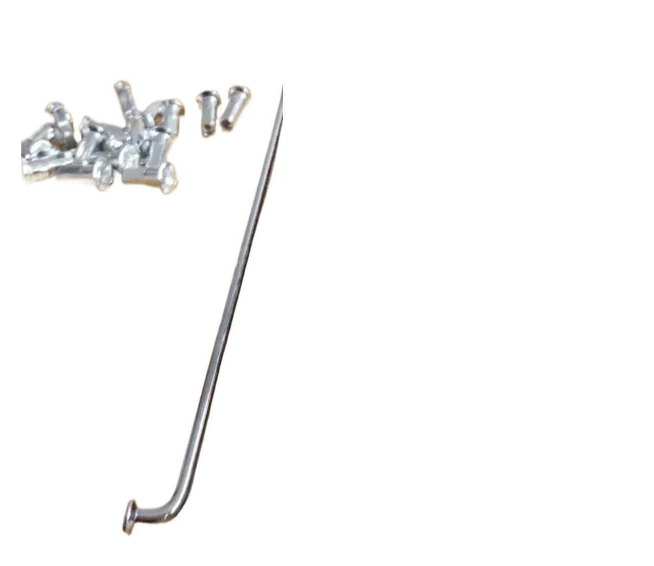 100 raggi con nippli per bici elettrica, 10 G, 3 mm, in acciaio resistente, per riparazione ruote di biciclette elettriche (160 mm)