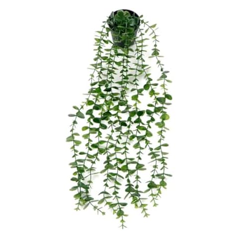Uposao Artificial Hanging Plants Eucalyptus Leaves Cover