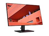  Lenovo ThinkVision P27q-20 68,6 cm (27\