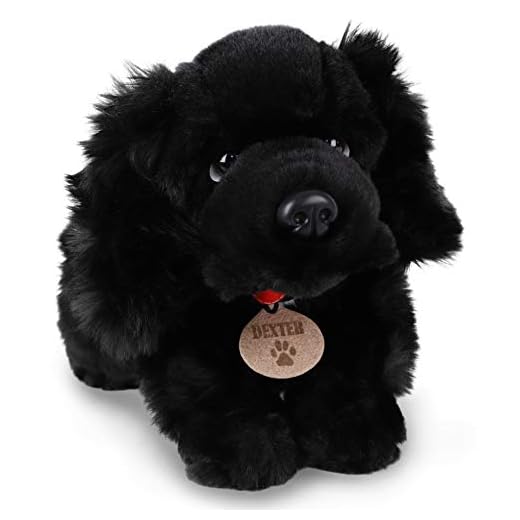 Toyland® Juguete de Peluche para Perro de 35 cm - Juguete de Peluche para niños - Exclusivo (Dexter The Spaniel)