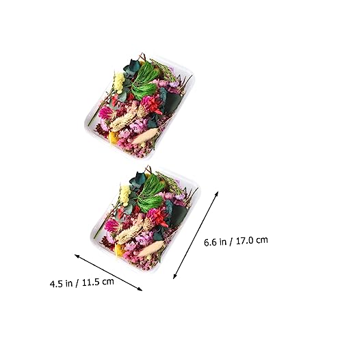 Flores Secas para Manualidades Decorativas Epoxi miniatura 5