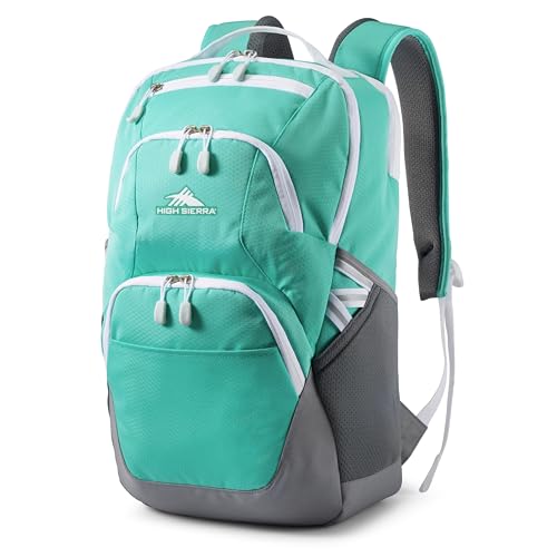 High Sierra Backpack with Laptop Protection - Now Only $13!