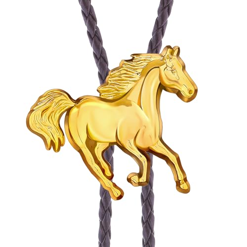 Image of Jeilwiy Bolo Tie for Men, Western Bolero Tie Cowboy Ties Native American Cowgirl Bolo Tie Accessories for Men Women