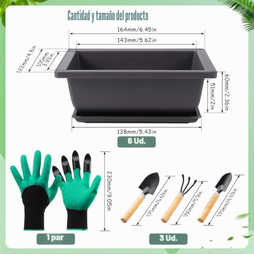 Miniatura 2 de Fswwsf 6 Cuencos Para Bonsái Con Posavasos, Maceta Para Bonsái, Maceta De Plástico Profunda, Para Jardín, Plantas, Patio, Sala De Estar, Balcón, Oficina