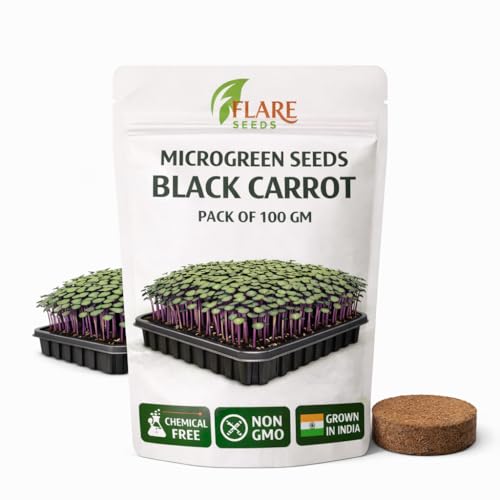 Image of Black Carrot Microgreen Seeds, Chemical-Free, Non-GMO, 100g Pack with Free Coco Disk, Rich in Antioxidants and Vitamins for Indoor Growing
