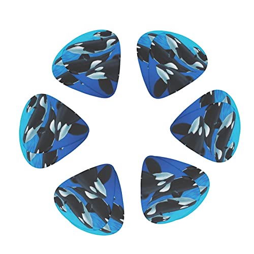Orca Killer Whale Lot de 12 médiators fins moyens et lourds pour guitares acoustiques électriques - Les Beatles, Paul McCartney, John Lennon, RIngo Starr, George Harrison Orca Killer Whale Lot de 12 médiators fins moyens et lourds pour guitares acoustiques électriques – Image 3
