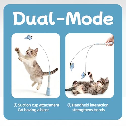 Base à ventouse pour chat avec papillon rotatif rechargeable USB