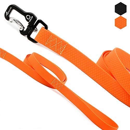 The 10 Best Heavy Duty Dog Leashes For Strong Pups Who Pull!