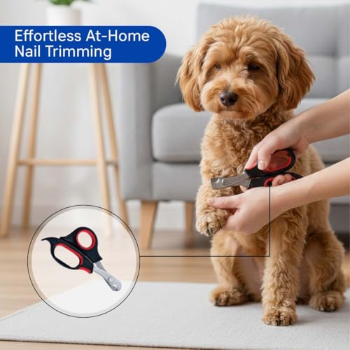 Image of Pets Empire 5-in-1 Dog & Cat Grooming Combo - Pet Shampoo, Self-Cleaning Slicker Brush, Silicone Bath Dispenser, Nail Clipper & Professional Grooming Kit for All Breeds