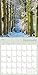 Enchanted Pathways 2024 Wall Calendar — The Photography of Lars Van de Goor, 12